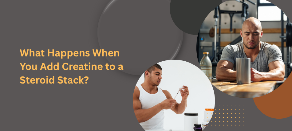 What Happens When You Add Creatine to a Steroid Stack?